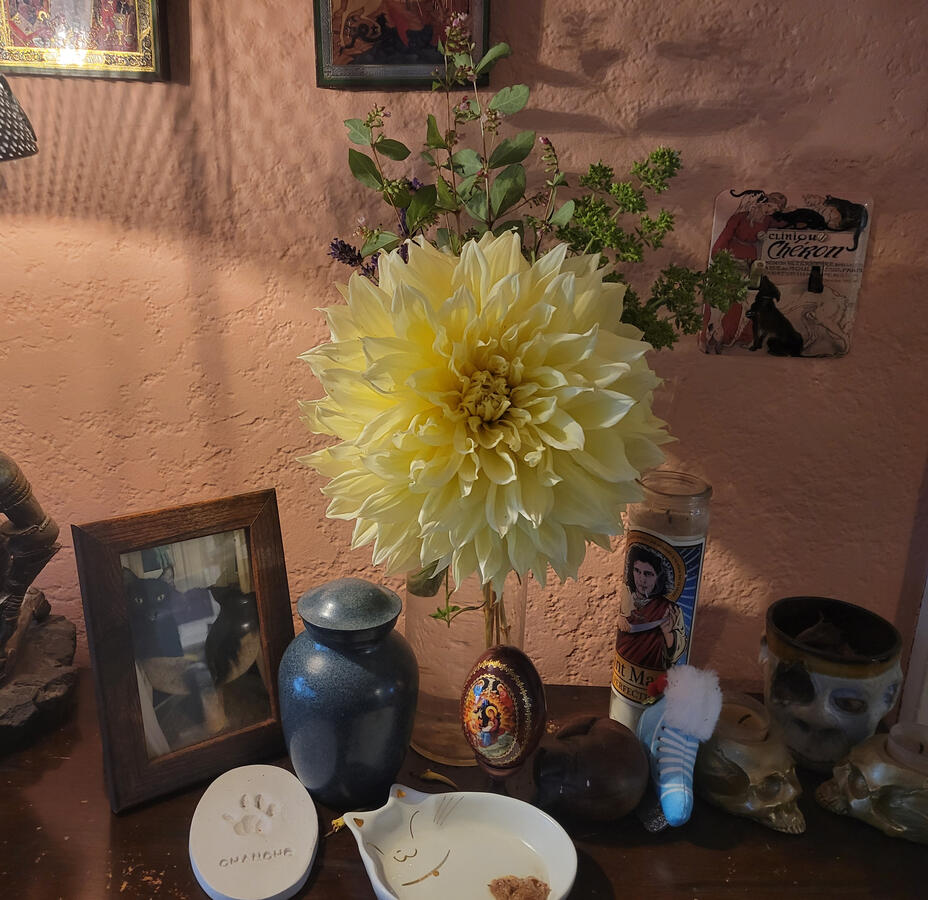 Untitled Untitled